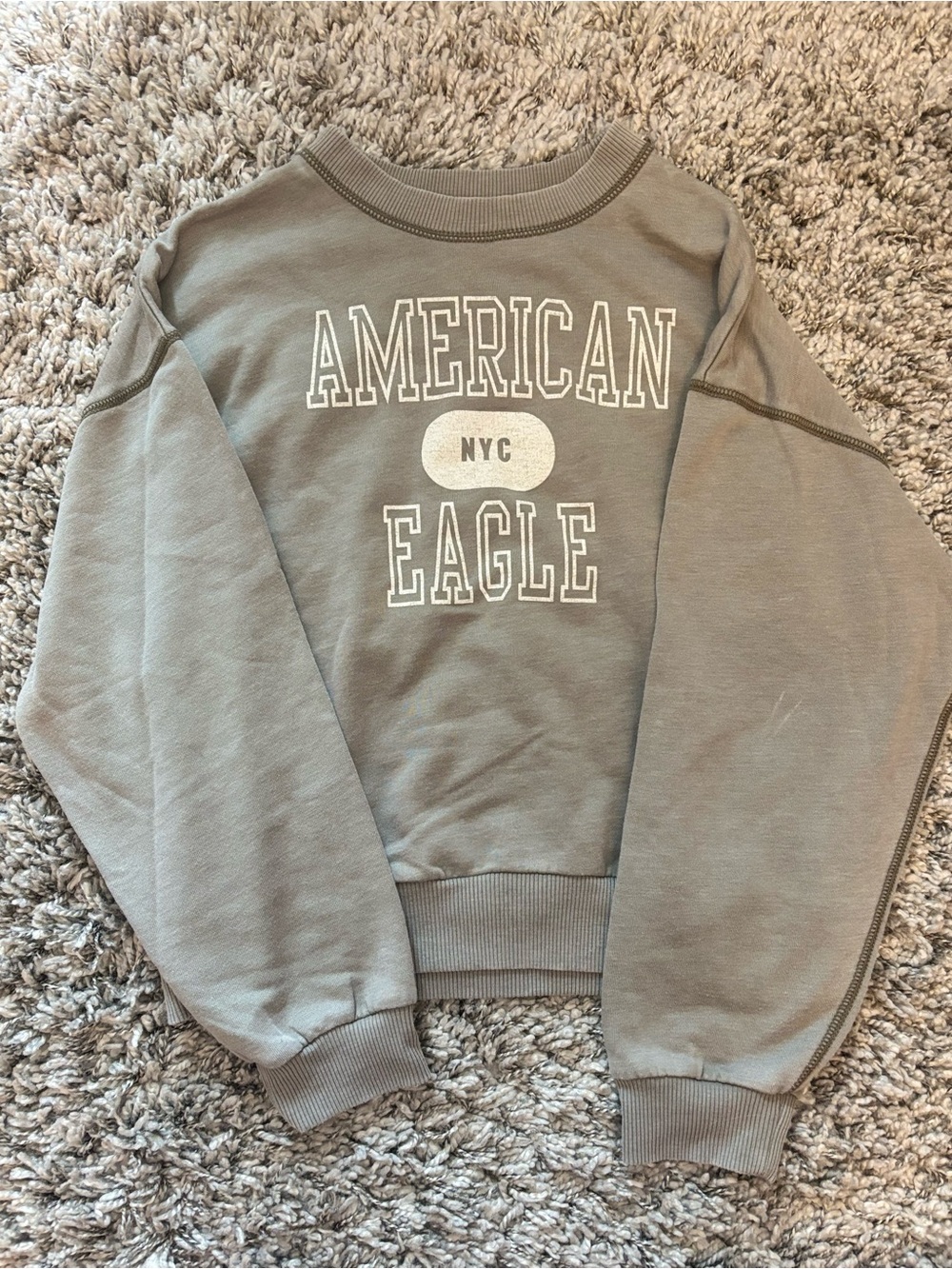 American Eagle Outfitters Womens Crewneck Sweatshirt - Sage Green
